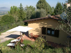 Podere Caldaruccio La Pineta - Bungalow